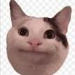 Alex_Jeff