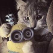 ᴘɪᴛᴇʀ ᴍᴀʀᴋᴜѕѕᴇɴ