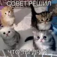 учимся читать
