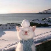 ᴍᴀʀʟᴇɴ ʜᴏʀɪᴍɪʏᴀ