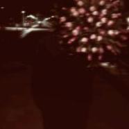 abuuzs